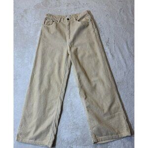 Urban Outfitters BDG High & Wide Corduroy Pant in Tan Size 31